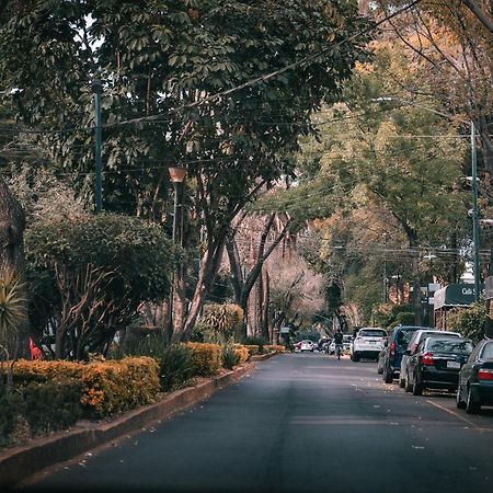 Modern Studio, Rooftop Charm, Cdmx Center2 Mexico City Luaran gambar