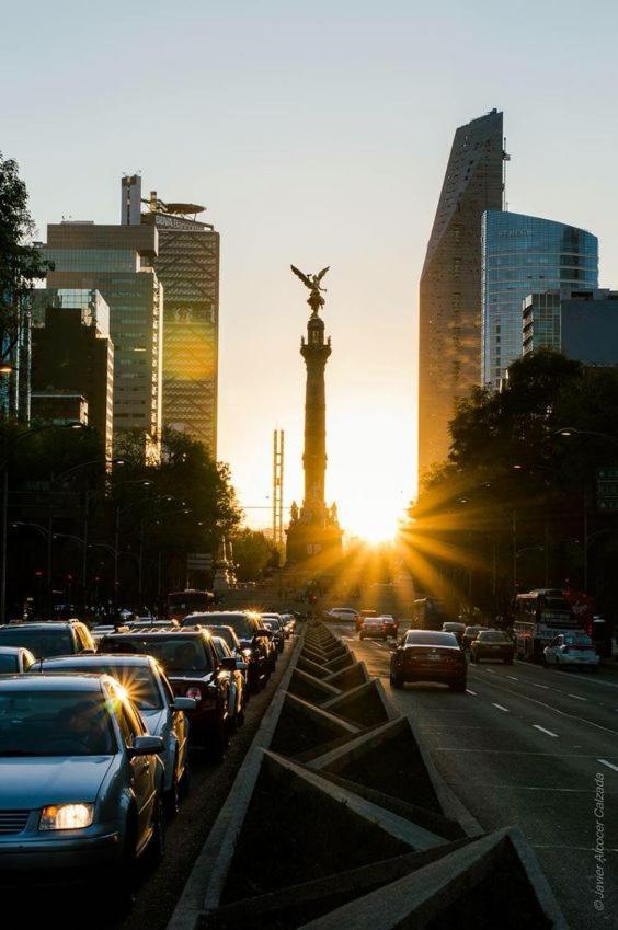 Modern Studio, Rooftop Charm, Cdmx Center2 Mexico City Luaran gambar