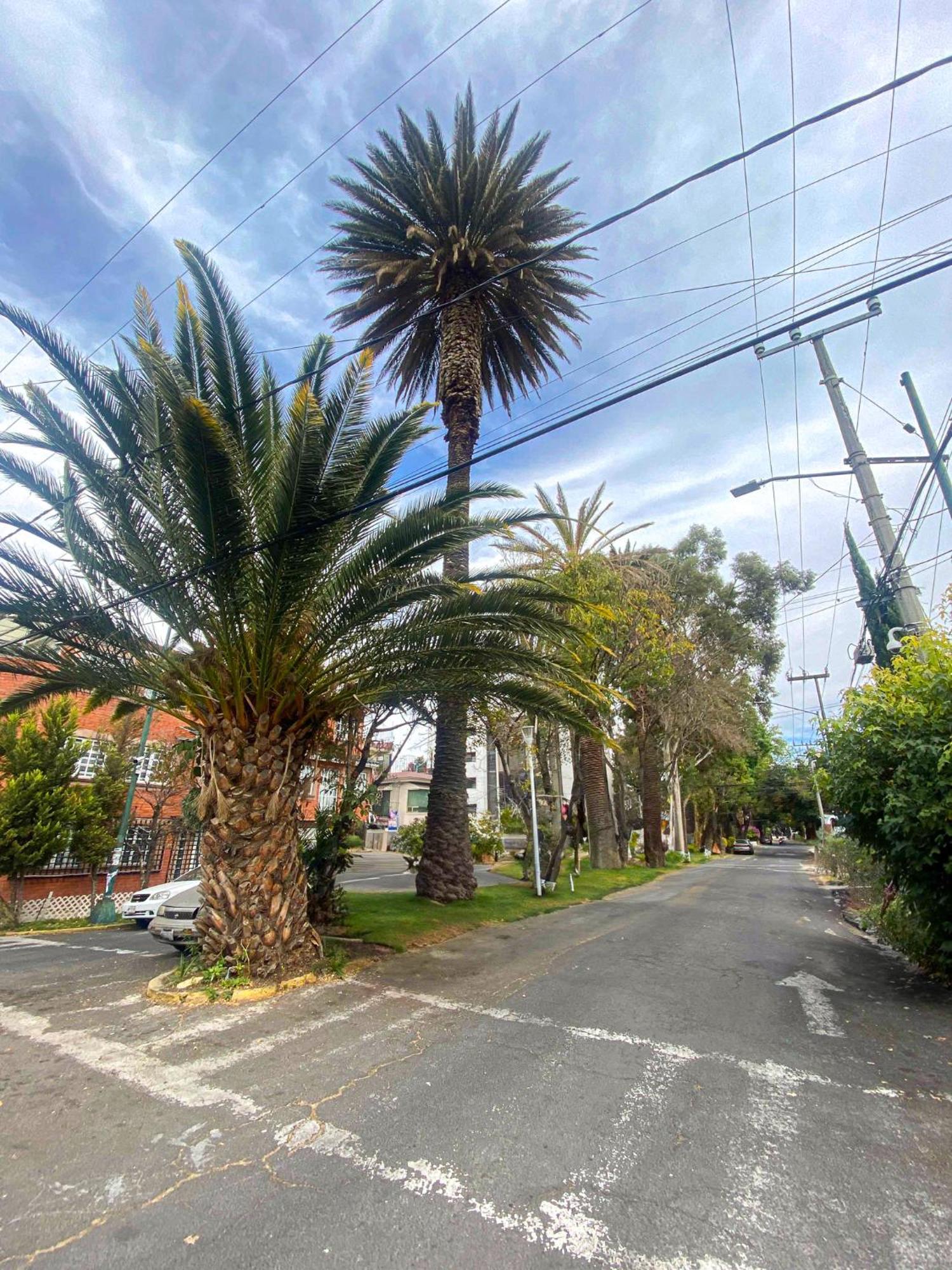 Modern Studio, Rooftop Charm, Cdmx Center2 Mexico City Luaran gambar