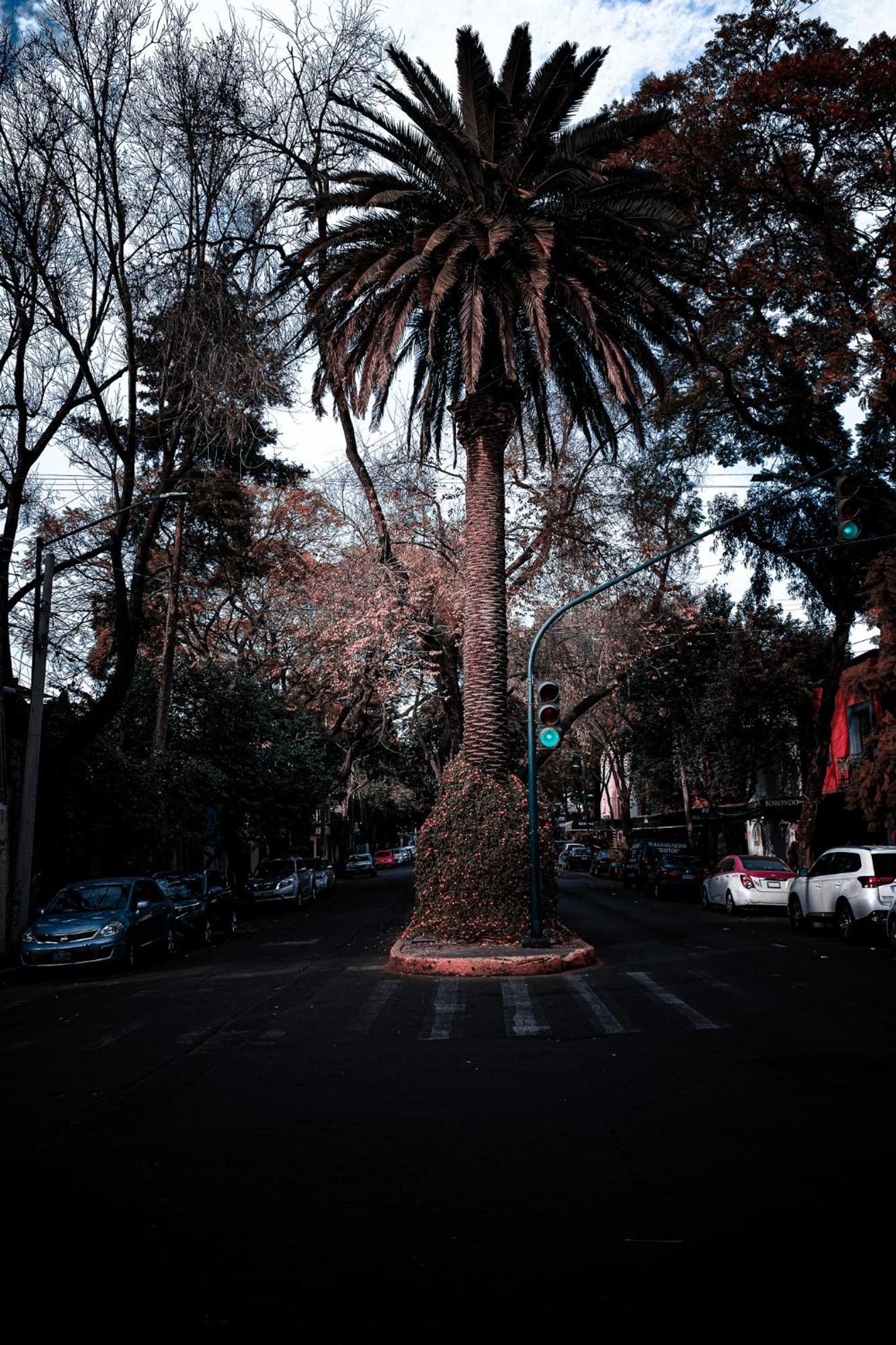Modern Studio, Rooftop Charm, Cdmx Center2 Mexico City Luaran gambar