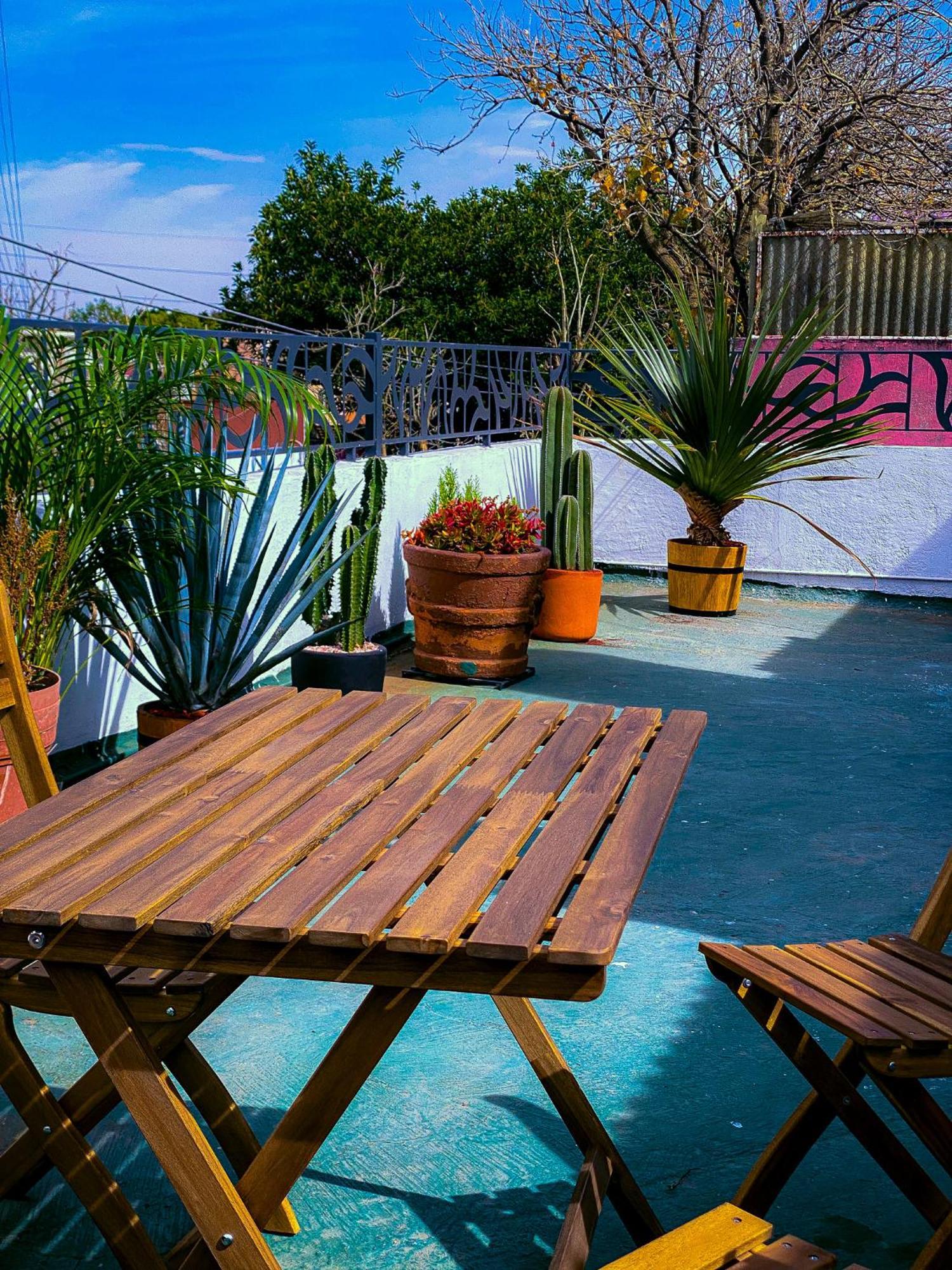 Modern Studio, Rooftop Charm, Cdmx Center2 Mexico City Luaran gambar